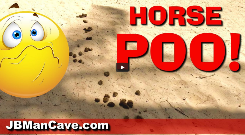 Horse poo