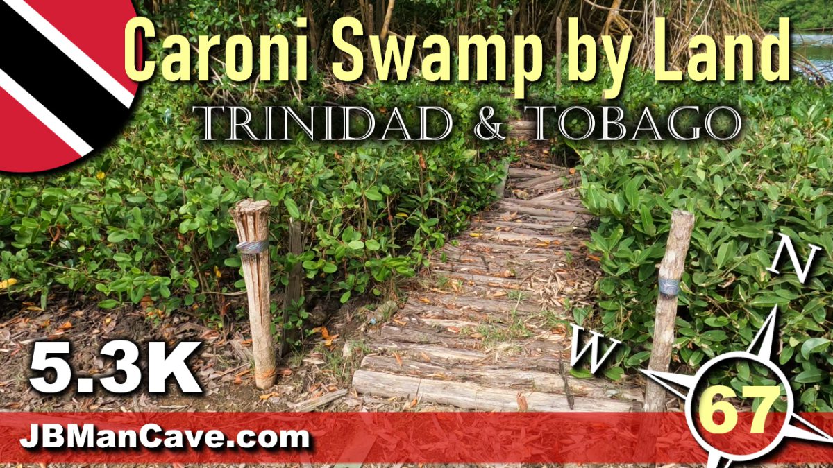 Caroni Swamp, Trinidad, Caribbean