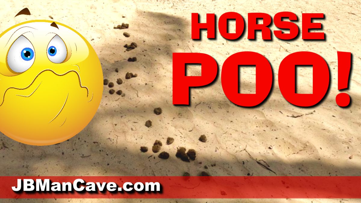 Leaving Horse Poo on the Beach