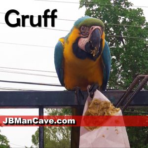 Gruff the Macaw